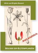 Biologiebuch Biologie der Bütenpflanzen