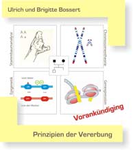 Buch 6 - Prinzipien der Vererbung